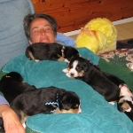 Gina and Puppies lounging