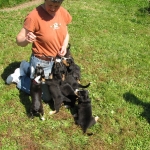 Kathy treating the pups