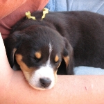 Guess who is in my lap? 