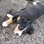 this gravel feels good!
