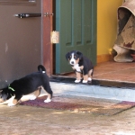 Umm.. this is kind of scary... well maybe not!