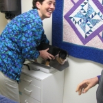 Dr Cary weighing a puppy