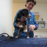 Puppy examination!
