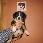 7th Week Portrait  with Shaman behind them