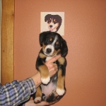 7th Week Portrait  with Shaman behind them