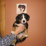 7th Week Portrait  with Shaman behind them