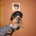 7th Week Portrait  with Shaman behind them