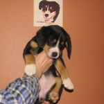 7th Week Portrait  with Shaman behind them