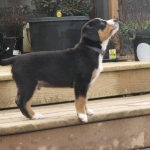 Look at how gorgeous i am! 