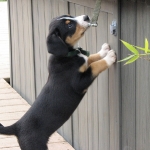 I want a hot tub too!