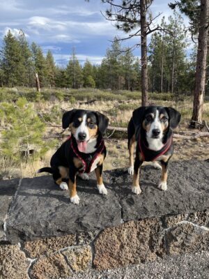 Pupperlu and her Aunt Obi 