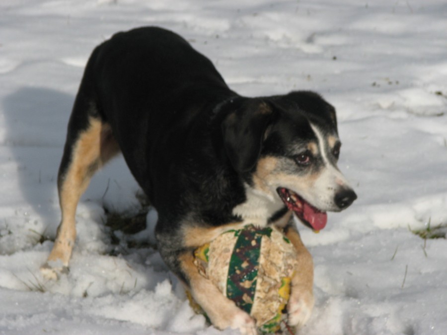 Photo of Bliss hiking her soccer ball in the snow 